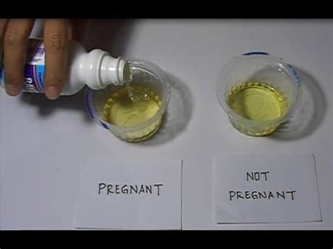 pregnancy bleach test